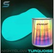 1L Peinture phosphorescente Night-glow TURQUOISE