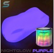 250ml peinture phosphorescente Night-Glow verte