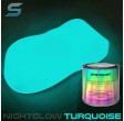 250ml peinture phosphorescente Night-Glow verte